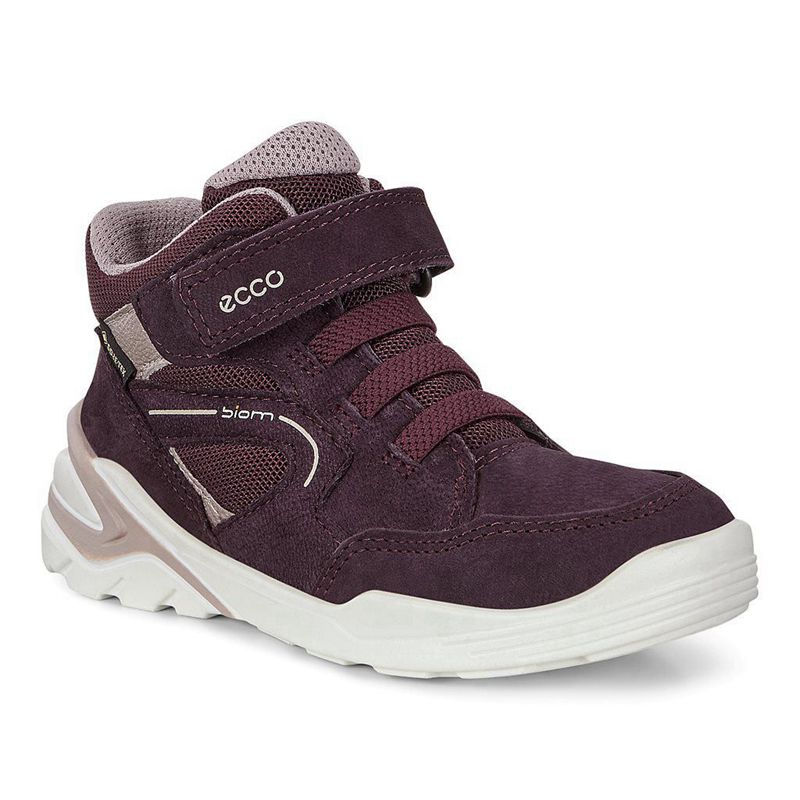 Botas Ecco Biom Vojage Para Niños,Moradas,730825-HTU